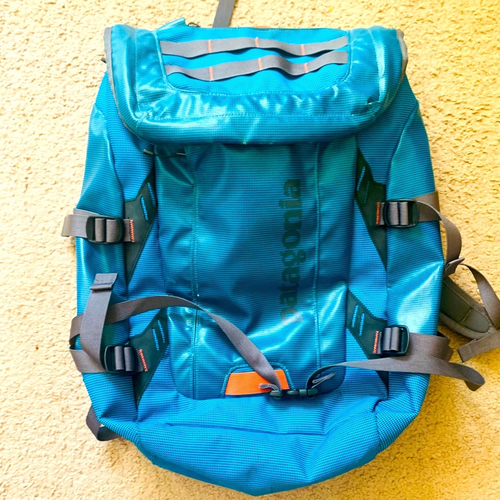 Patagonia back bag